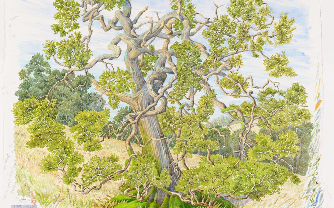 Tony Foster, Exploring Time: A Painter’s Perspective