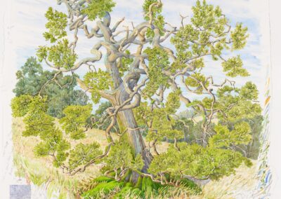 Tony Foster, Exploring Time: A Painter’s Perspective
